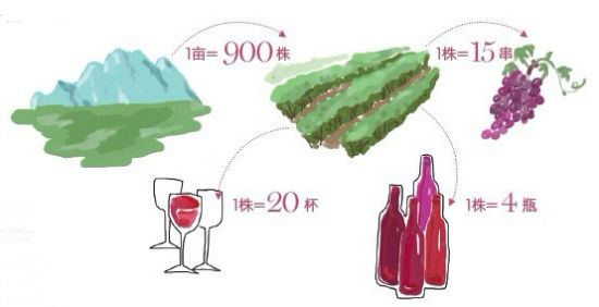 以上數(shù)據(jù)由Napa Valley Vinters提供，以最低的種植密度和最低產(chǎn)量為前提。